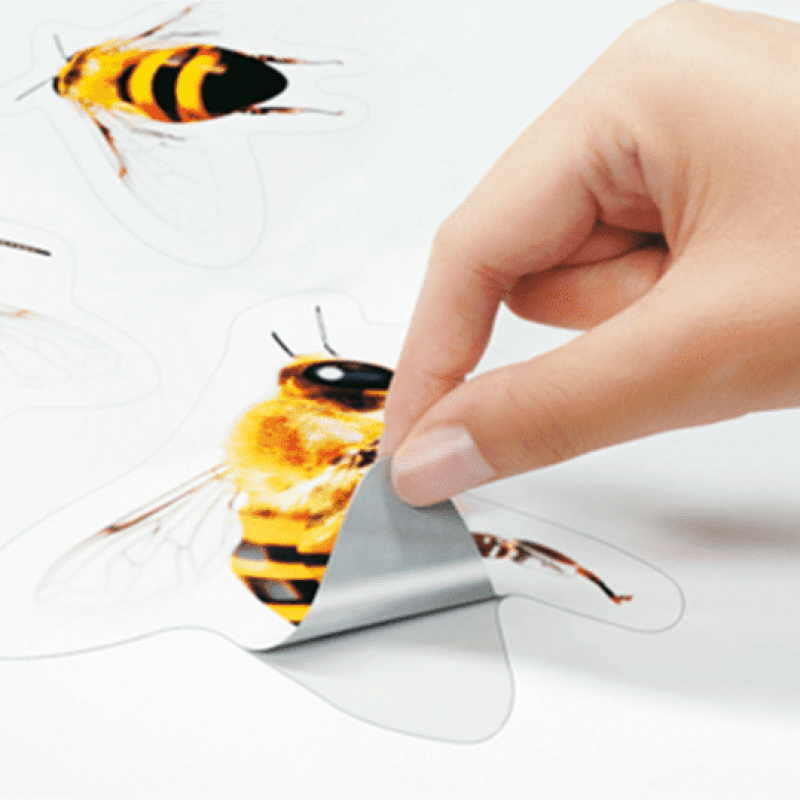 Adesivo Corte Especial